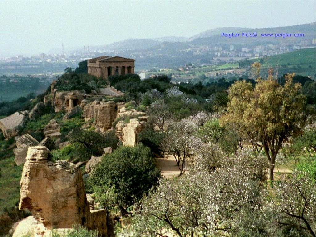 it sic arg 10807_08dt.jpg